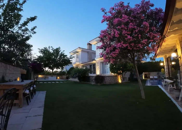 Adelfia 酒店 阿拉恰特