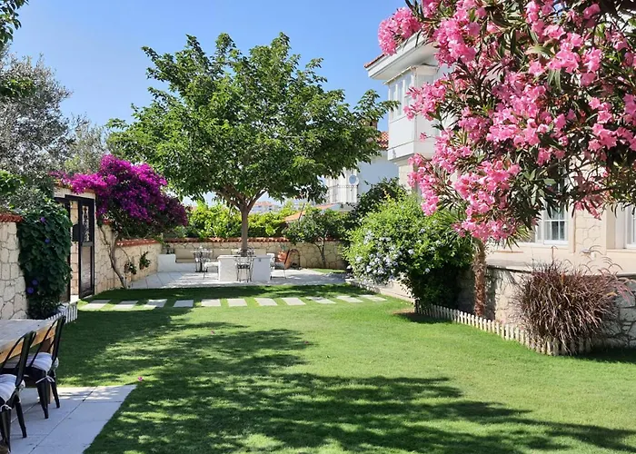 Adelfia 酒店 阿拉恰特